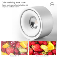 Spot LED Moderne à Double Tête Orientable pour Plafond, Plafonnier Dimmable à Montage en Saillie, Éclairage Intérieur Résidentiel