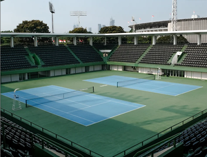 उच्च गुणवत्ता वाले खेल उपकरण बिक्री के लिए निर्माता नया डिजाइन पैडल कोर्ट - Product Image 3