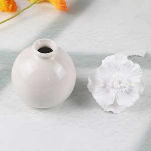 Bán buôn gốm hoa sậy khuếch tán chai tròn sứ trang trí nhà hương liệu khuếch tán tinh dầu - Product Image 5