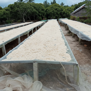 Escamas de pescado secas de Vietnam, colágeno, whatsap 0084989322607 - Product Image 1