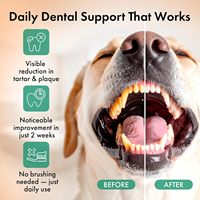 Poudre Nettoyante pour Dents de Chien et Chat OEM la Plus Vendue, à Base d'Algues Marines, Réduit la Plaque Dentaire et la Mauvaise Haleine, Soutient le Système Immunitaire, Vitamines et Minéraux