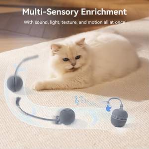 2 in 1 interaktif çevre dostu plastik kedi oyuncaklar kapalı kullanım Wicked topu Duo2 otomatik çift değiştirilebilir kabukları - Product Image 6