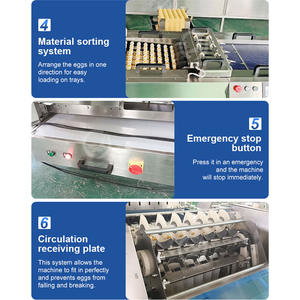 Empaquetadora automática de huevos para granja OCEAN, máquina empacadora clasificadora de huevos de papel Pulg - Product Image 5