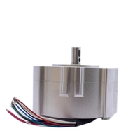 Moteur sans balais 48V DC haute puissance pour vélo électrique, aimant permanent BLDC argenté haute efficacité pour ventilateur et usage nautique