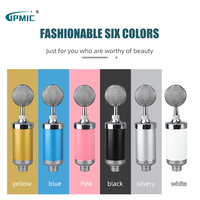 Microphone à condensateur filaire professionnel Bm-8000 Ordinateur Téléphone portable Réseau Diffusion en direct Chant Microphone
