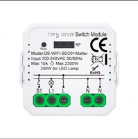 Interrupteur intelligent Matter pour la domotique, interrupteur intelligent WIFI Tuya, application Homekit, activation vocale, interrupteur intelligent Matter pour la maison intelligente