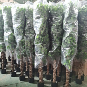 <strong>Fake</strong> Tree Wholesale <strong>Cheap</strong> 3ft 6ft Home Indoor Decoration Plastic Long Artificial Ficus Banyan Tree <strong>Plant</strong> - Product Image 5