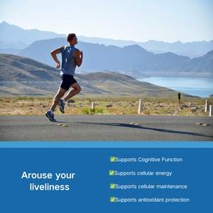OEM/ODM |   Prix d'usine Gouttes de bleu de méthylène pour la santé du cerveau, Complément alimentaire humain My-Blue Supplements - Product Image 2