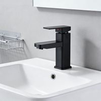 Robinet mélangeur moderne en acier inoxydable noir et argent, à cartouche céramique, monotrou, pour montage sur plan, eau chaude et froide, personnalisé OEM