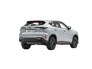 ชางอัน เอ็กซ์5 พลัส สำหรับตลาดประเทศไทย จัดส่งรายเดือนผ่านบริการทางเรือช่องทางใหม่ฉงชิ่ง - Product Image 5