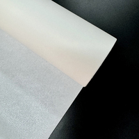 Matériaux de couture Gum Stay Interlining Pa Thermo Hot Melt Filet adhésif avec papier
