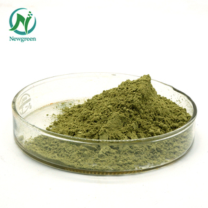 Newgreen Supply Top Quality Food Colouring Natural Water Soluble <strong>Fruit</strong> Green <strong>Pigment</strong> - Product Image 3