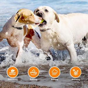 Vendedor caliente <span class=keywords><strong>Collar</strong></span> de choque para perros <span class=keywords><strong>Collar</strong></span> de entrenamiento para perros con modo de choque de vibración y receptor SUMERGIBLE - Product Image 3