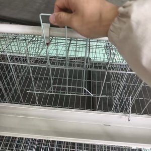 Design moderne a Type 96 à 128 Oiseaux Automatique Oeuf Volaille Fermes Poulailler Cages à vendre Poulet en Fer Petite ou Grande Cage - Product Image 5