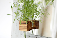 Vase à fleurs en bois cube avec ventouses, vase à fleurs en bois à tige unique, vase en tube de verre à tige unique, décoration de jardin et de bureau