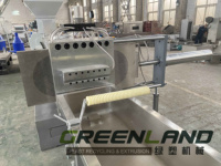 Extrudeuse à double vis Greenlandplast pour la préparation de granulés machine de remplissage caco3 extrudeuse de mélange de fibre de verre en nylon PA