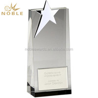 Trophée en cristal en forme d'étoile pour la reconnaissance, texte gravé personnalisé, qualité supérieure, récompense professionnelle
