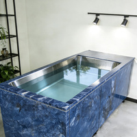 Refroidisseur de Bain de Glace en Acier Inoxydable de Haute Qualité, Écologique, pour Thérapie par le Froid, avec Stérilisation à l'Ozone WIFI Intelligente et Pompe à Vanne 1hp 2