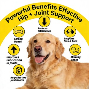 Wholesale High-Protein Pet Hip Joint Support Chews with Natural <b>Glucosamine</b> & Turmeric for Joint Protection Vitamins & Minerals - Product Image 6