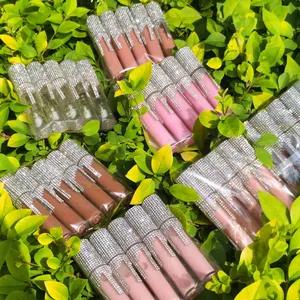 Nhãn Hiệu Riêng Mới 2021 Sáng Bóng Lip Oil Vegan Clear Lip Gloss Matte Lip Stick Với Rhinestone Ống