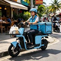 Vélo cargo électrique 800W pour le dernier kilomètre, freins à disque avant et arrière, vente en gros en vrac, expédition en conteneur complet