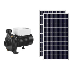 Pompe solaire en fonte du fabricant pour l'irrigation agricole, grande capacité, pompes à eau immergées et de surface pour puits profonds - Product Image 2