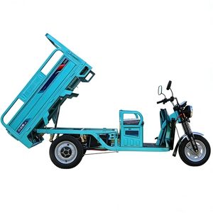 Tricycle électrique à benne basculante, tricycles électriques de transport, 60V/1000W, tricycles à 3 roues électriques pour adultes, CE - Product Image 4