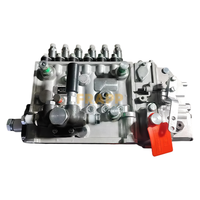 Ensemble de pompe à injection de carburant pour moteur diesel de qualité 0402676833 pour camion Euro