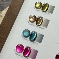 Ensemble de vernis à ongles DANNYCOLL Glass Glaze Cat Eye, 9 couleurs, fournitures pour ongles, vente en gros, vernis à ongles en gel UV, ensemble de vernis à ongles en gel Cat Eye en vrac