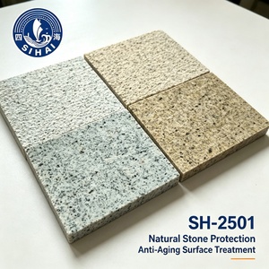 SH-2501 Silicone nano-oligomérique hydrofuge pour le <span class=keywords><strong>traitement</strong></span> des surfaces de substrat en maçonnerie - Product Image 2