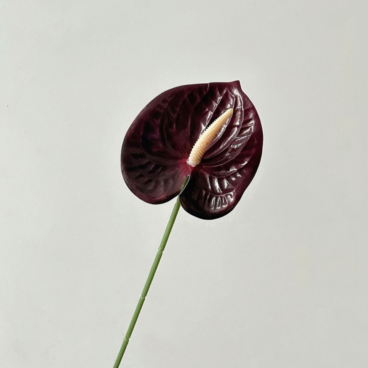 Black red