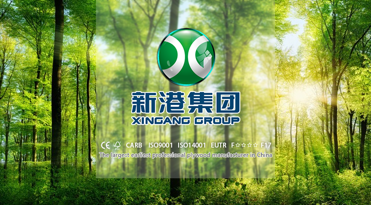 12mm 15mm 18mm 1220x2440mm White Two Sides Melamine Plywood for Furniture and Kitchen Cabinet