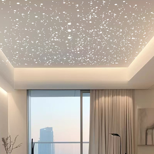 Plasterboard <b>Ceiling</b> <b>Tile</b> 2 X 4 Ft Starry Sky Effect Fiber Optic LED Lights Artistic <b>Ceilings</b> For Living Room Home Theater - Product Image 3