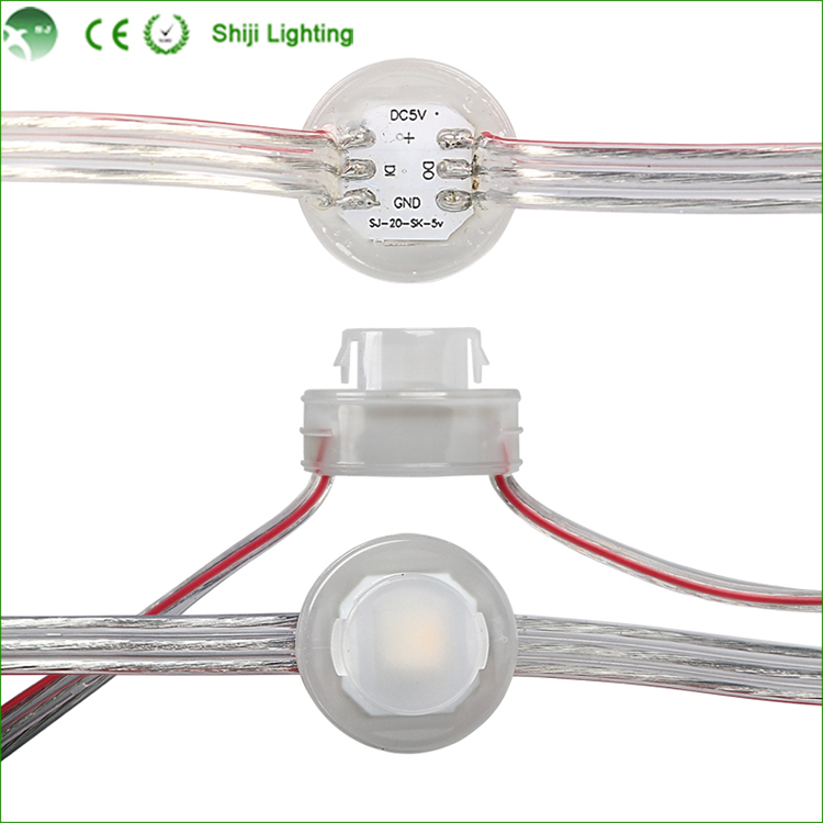 DC5v Christmas Lights 20mm Digital LED Pixel Point Light for Outdoor or Indoor Use