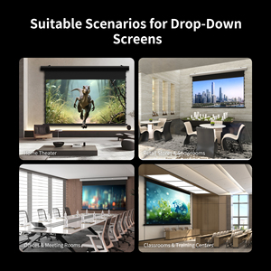 Pantalla de Proyección Motorizada Desplegable Wupro/OEM 4K de 110 Pulgadas, ALR, PVC Suave, Gris Cristal, FlowArc-Gray Crystal-110" - Product Image 3