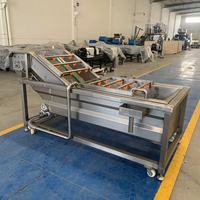 Machine à laver industrielle de dattes de légumes frais, de fruits, de nettoyage, de séchage et de traitement
