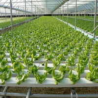 Système de culture hydroponique NFT Channel Système de gouttière hydroponique Système de culture aréoponique Tables de plantation de laitue à effet de serre