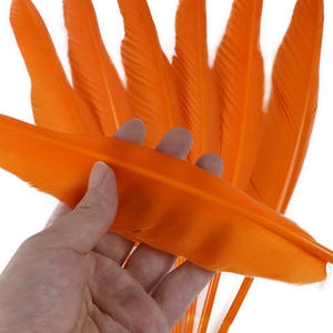 Goose Pointers Plumas de ganso de 10-13 pulgadas para vestido de novia - Product Image 1