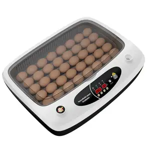 Incubadora automática de huevos de pollo, con control de temperatura y humedad, 36 capacidad