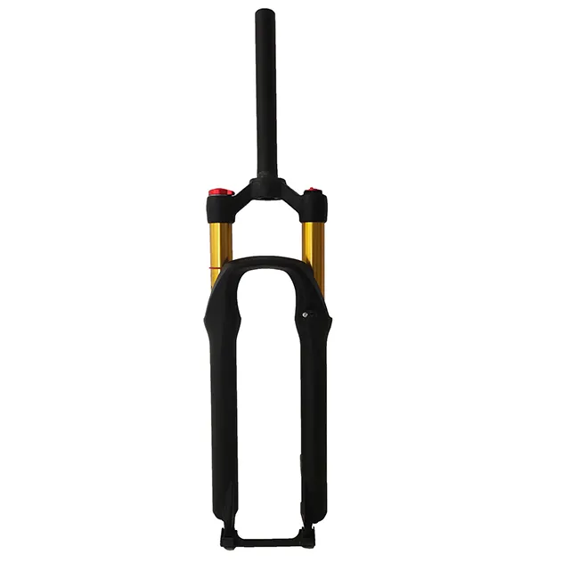 Double Crown trek carbon frame Suspension Mountain Bike Fork