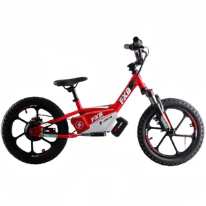 Electric Balance Bike 36V 350W Brushless Hub Motor Kids Bike 36V 2.5/5.0Ah Lithium Battery Bicycle Aluminum Frame BMX Race Bike