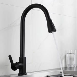 304 Stainless Steel Classic Pull-Out Kitchen <strong>Faucet</strong> 360 Rotatable Hot Cold Water for Hotel Outdoor Kitchen Dishwasher Sink - Product Image 1