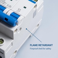 Disjoncteur miniature de haute qualité CHNT NXB-63 AC MCB 1P 1A 2A 3A 4A 6A 10A 16A 20A 25A 32A 40A 50A 63A