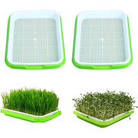 Plateaux de germination hydroponiques à mailles peu profondes microgreens plateaux et couvercles de pépinière de germination