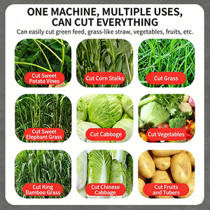 Macchina Industriale per la Lavorazione di Mangimi Animali, Trituratore per Rifiuti Vegetali e Frutta, Taglia Verdure, Pellettatrice per Impianti - Product Image 4