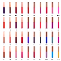 Créez votre logo personnalisé, rouge à lèvres liquide mat imperméable, rouge rose personnalisé, écran solaire minéral, gloss à lèvres en marque privée