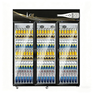 Exhibidor Refrigerado Comercial de Bebidas de Doble Puerta, Vertical, Eléctrico, de Gran Capacidad, Alta Eficiencia, con 2 Años de Garantía - Product Image 3