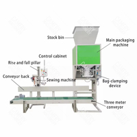 Machine d'emballage de granulés entièrement automatique de 5 kg à 50 kg, haute productivité, emballage, étiquetage, papier, application alimentaire et chimique