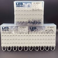 Módulos LED AC110V 220V IP65, Luces LED de 98*20mm, 2835 SMD, 3 LED, 2W, 3000k, 10000k, Cuerpo de ABS, Módulos LED Impermeables para Letreros Publicitarios