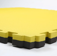 Tapis d'entraînement Tatami Judo Karaté Interlocking Arts martiaux Puzzle EVA Mousse haute densité Taekwondo Sol